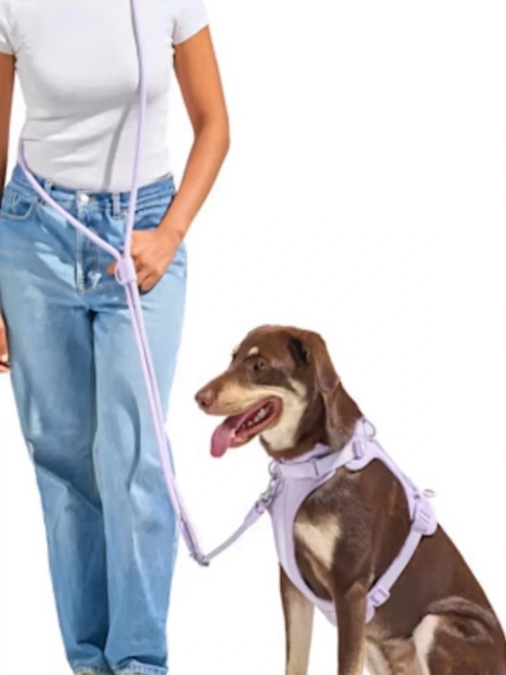 Wild One Hands-Free Rope Leash, and Wild One Harness